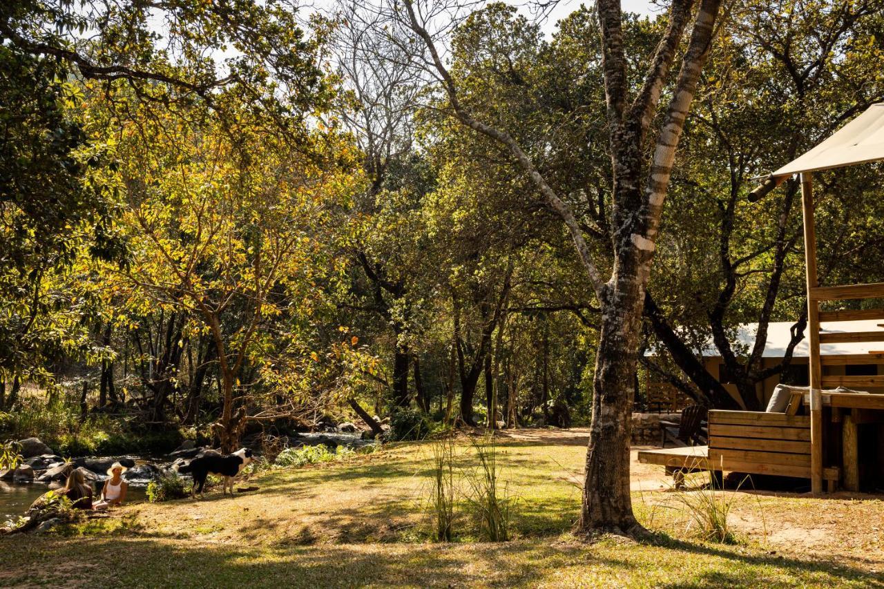 Africamps At Mackers Villa Hazyview Bagian luar foto