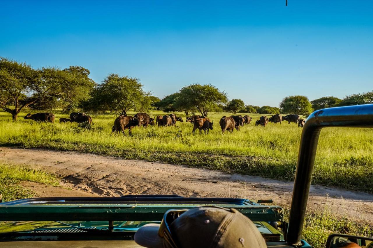 Africamps At Mackers Villa Hazyview Bagian luar foto